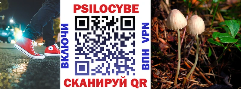 Галлюциногенные грибы мухоморы  Петропавловск-Камчатский 